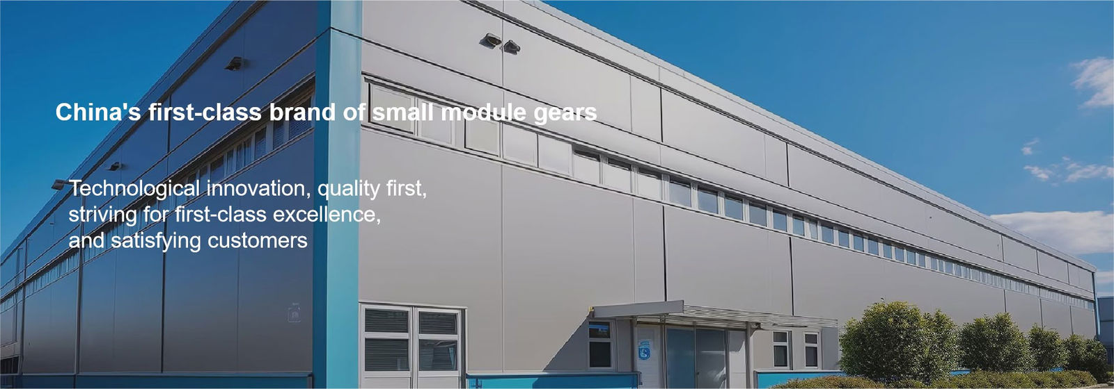オーダーメイド産業用ギア