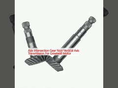 軸交差器 軸非垂直トランスミッション グレートウォールモーター